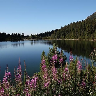 89th annual JAMES meeting